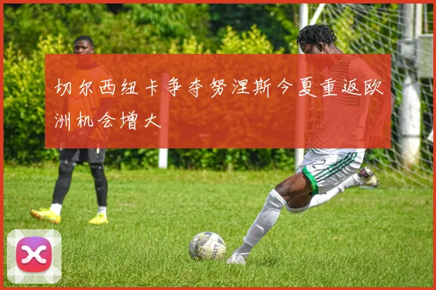切尔西纽卡争夺努涅斯今夏重返欧洲机会增大