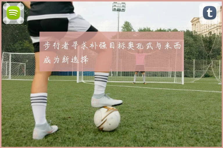 步行者寻求补强目标奥孔武与米西成为新选择