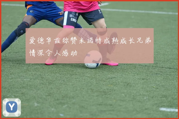 爱德华兹称赞米诺特成熟成长兄弟情深令人感动