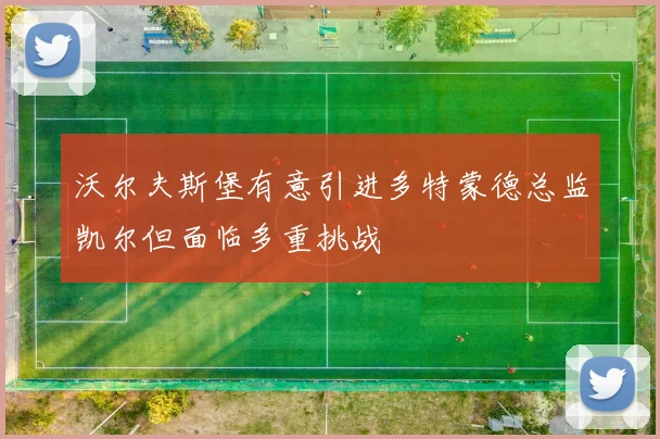 沃尔夫斯堡有意引进多特蒙德总监凯尔但面临多重挑战